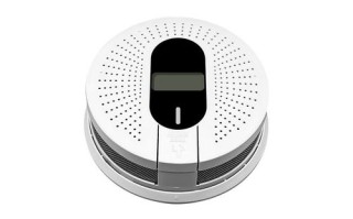 一氧化碳显什么价