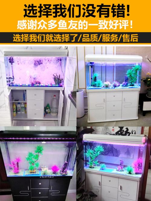 一般水族箱多少钱一个-第3张图片-索能光电网
