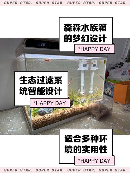 一般水族箱多少钱一个-第2张图片-索能光电网