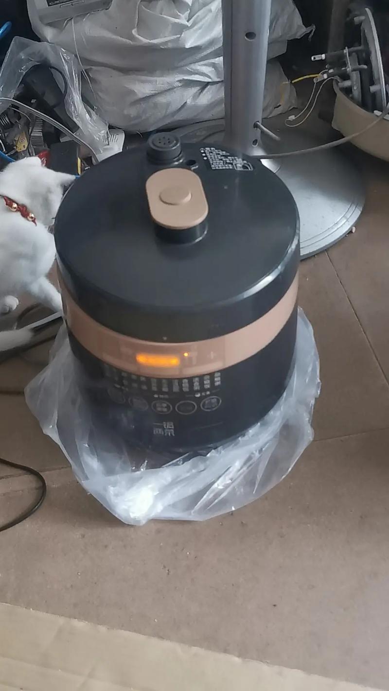 高压锅老是出现e2是怎么回事-第2张图片-索能光电网