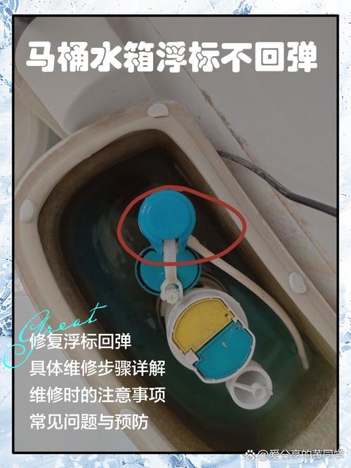更换一个马桶浮球多少钱-第2张图片-索能光电网