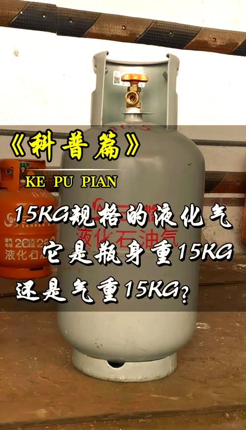 一罐气是多少钱一个-第2张图片-索能光电网