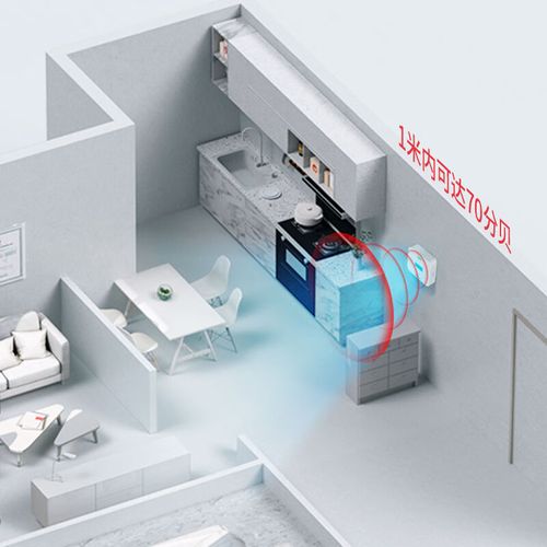 一氧化碳显什么价-第3张图片-索能光电网