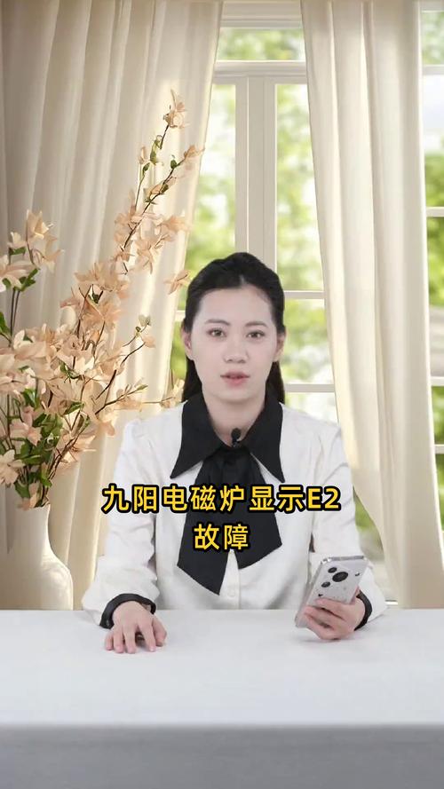 九阳电池炉e2怎么修-第3张图片-索能光电网