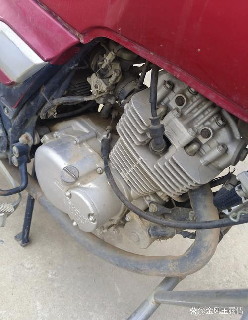 捏一下有声音坏了怎么修-第1张图片-索能光电网