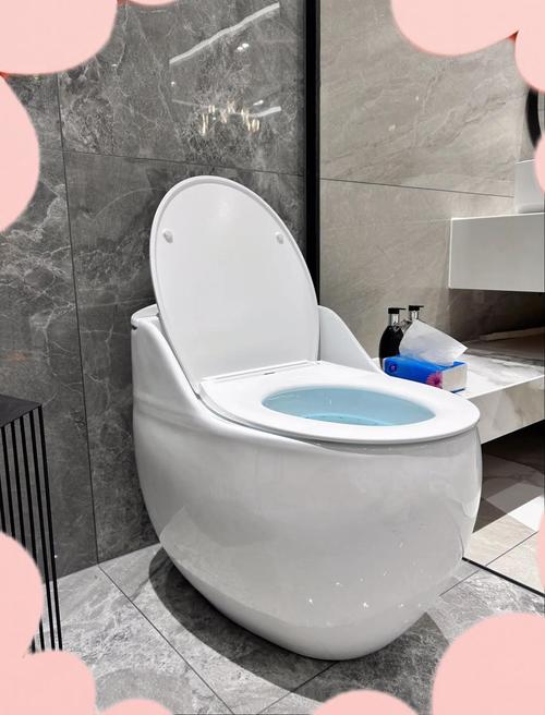 帮别人安一个马桶多少钱-第3张图片-索能光电网