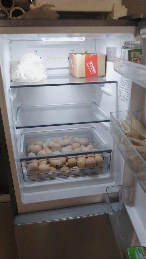 冰箱一般放什么东西除臭-第3张图片-索能光电网