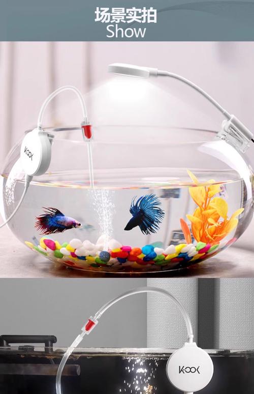 金鱼缸没有氧气泵怎么办-第2张图片-索能光电网