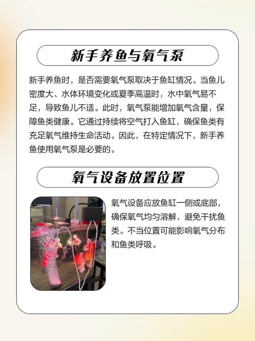 金鱼缸没有氧气泵怎么办-第1张图片-索能光电网