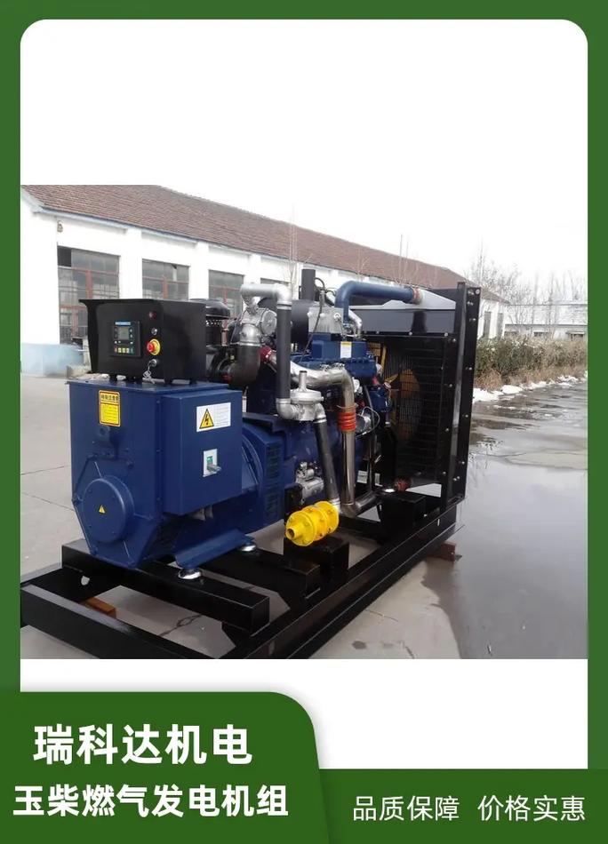 家用沼气发电一套多少钱-第3张图片-索能光电网