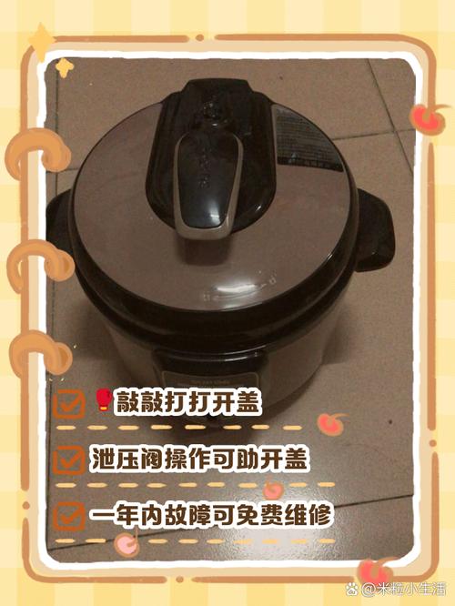 苏泊尔电压力锅e8怎么处理-第3张图片-索能光电网