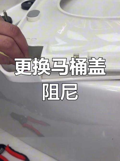 马桶盖子掉下来了怎么修-第2张图片-索能光电网 马桶盖子掉下来了怎么修-第2张图片-索能光电网