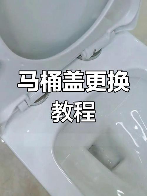 马桶盖子掉下来了怎么修-第3张图片-索能光电网 马桶盖子掉下来了怎么修-第3张图片-索能光电网