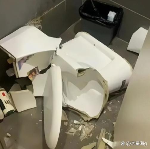 大小便池坏了具体怎么说-第2张图片-索能光电网