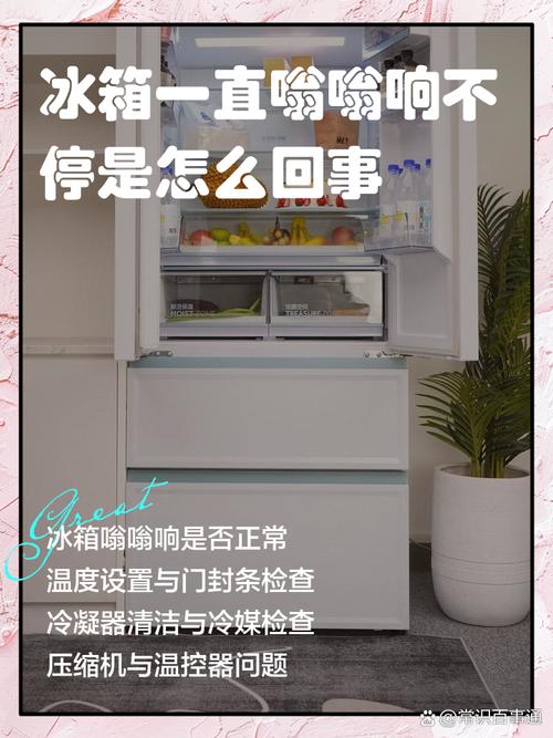 冰箱一搬家为什么一直响-第1张图片-索能光电网