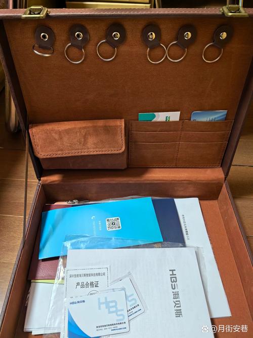 hbs密码锁没电了怎么从里面开门-第1张图片-索能光电网