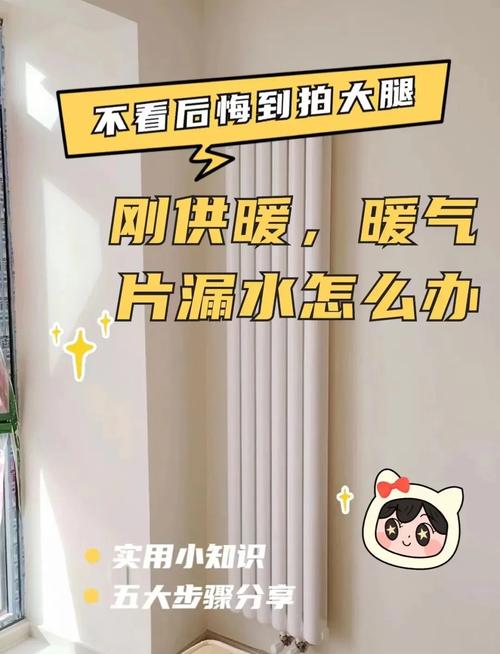 暖气片拧不紧漏水怎么办-第1张图片-索能光电网