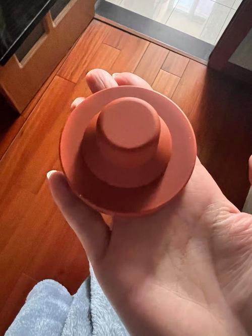 红色的吹风机是什么意思-第1张图片-索能光电网