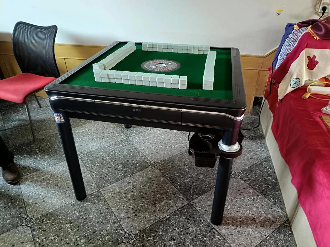 雀友麻将机不能动怎么办-第3张图片-索能光电网