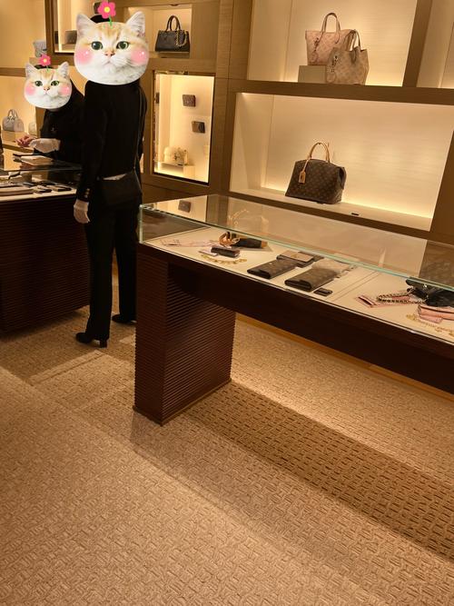 lv的地毯多少钱一平米-第3张图片-索能光电网 lv的地毯多少钱一平米-第3张图片-索能光电网