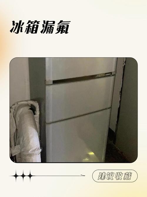 冰箱里的氟是做什么气味-第2张图片-索能光电网