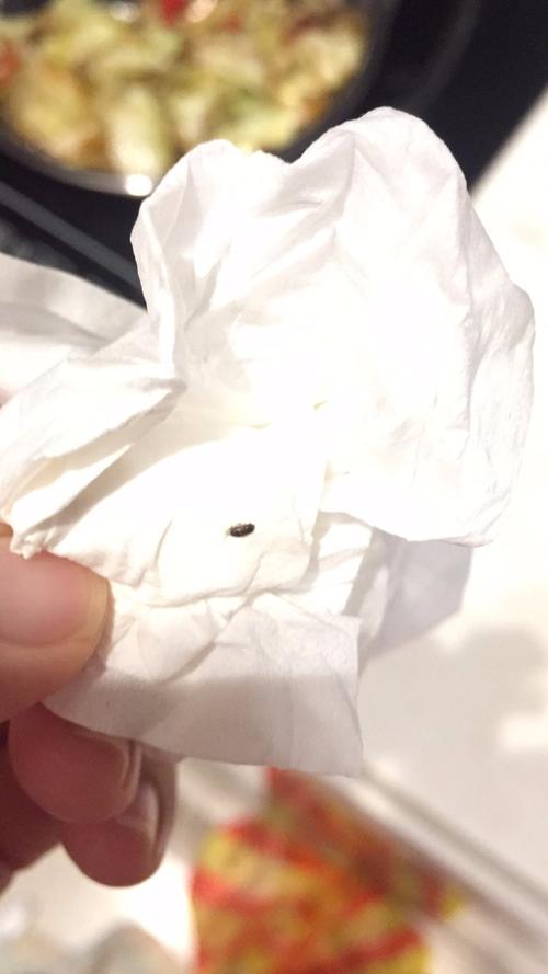 柜子里的小黑虫是什么虫-第3张图片-索能光电网