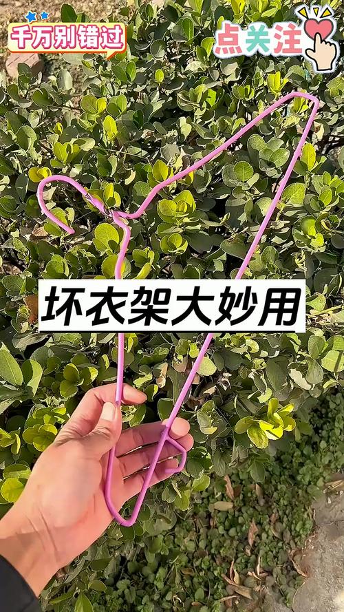 用坏的衣架能做什么东西-第2张图片-索能光电网 用坏的衣架能做什么东西-第2张图片-索能光电网