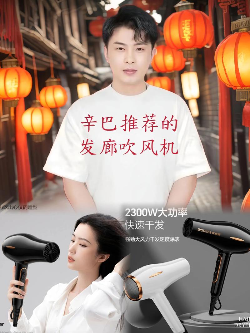 家用吹风机都有多少钱呢-第3张图片-索能光电网