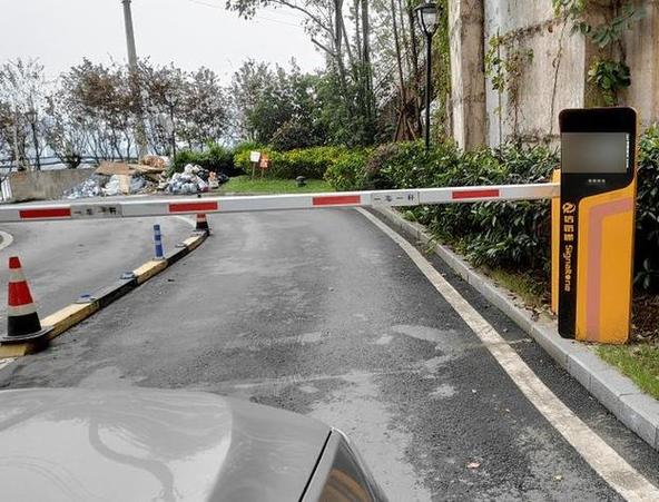 道闸杆升不起来什么故障-第3张图片-索能光电网