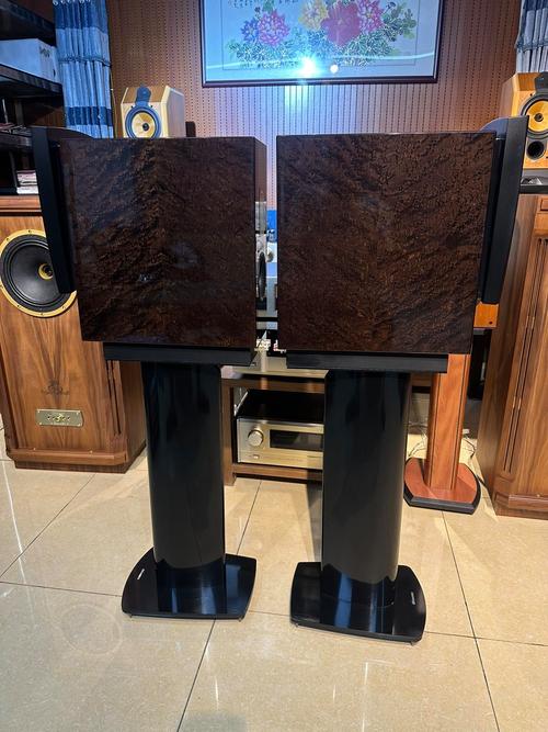 带脚架音响多少钱一对-第3张图片-索能光电网