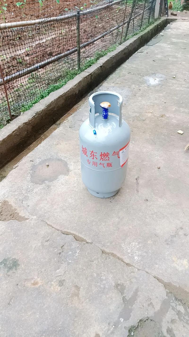 家用煤气罐子多少钱-第3张图片-索能光电网