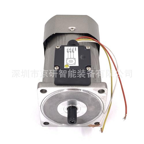 小型电机厂投资多少钱-第1张图片-索能光电网