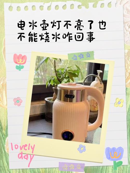 电热壶烧不了水怎么回事-第2张图片-索能光电网