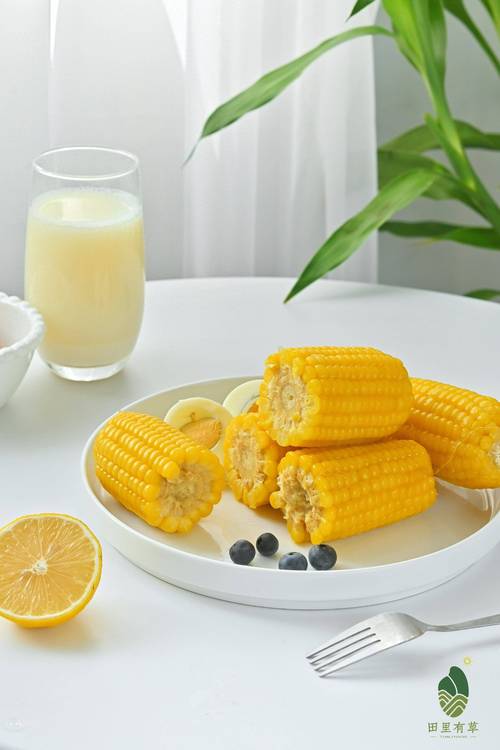 豆浆机玉米粒放多少-第2张图片-索能光电网 豆浆机玉米粒放多少-第2张图片-索能光电网