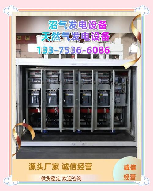 沼气发电机为何易损短寿？-第3张图片-索能光电网