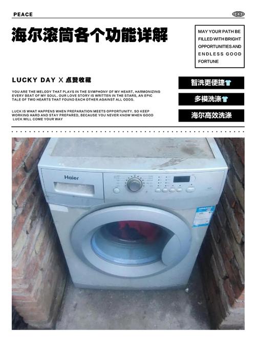 海尔滚筒门叫什么?-第1张图片-索能光电网 海尔滚筒门叫什么?-第1张图片-索能光电网