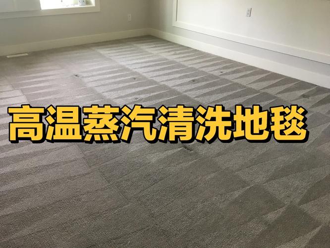 五个房间洗地毯费用多少？-第1张图片-索能光电网