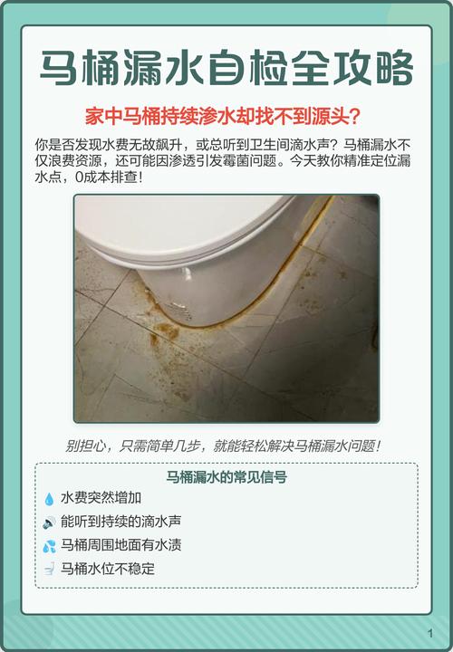 抽水马桶为何只漏一半水？-第2张图片-索能光电网