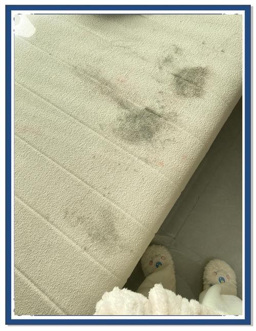 飘窗垫海绵选哪种质量好?-第3张图片-索能光电网 飘窗垫海绵选哪种质量好?-第3张图片-索能光电网