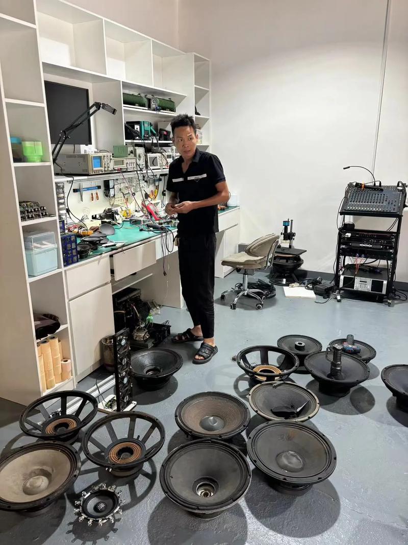 修音响一般去哪些地方?-第1张图片-索能光电网 修音响一般去哪些地方?-第1张图片-索能光电网