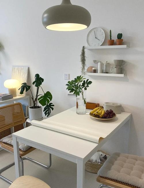 白色桌子配什么颜色桌垫最合适？-第2张图片-索能光电网