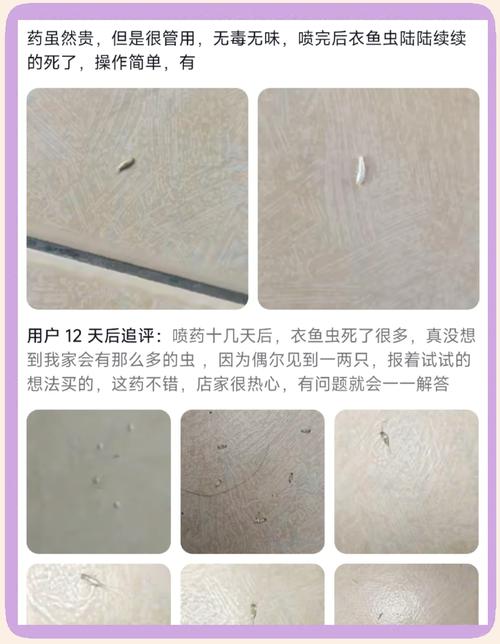 衣柜虫害怎么高效清除？-第3张图片-索能光电网