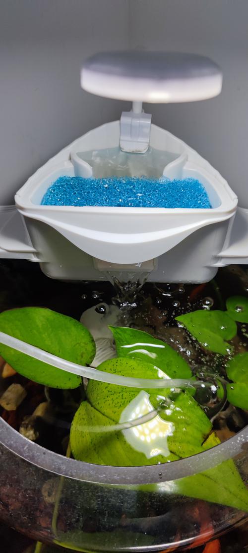 鱼缸过滤器选哪种好？-第1张图片-索能光电网