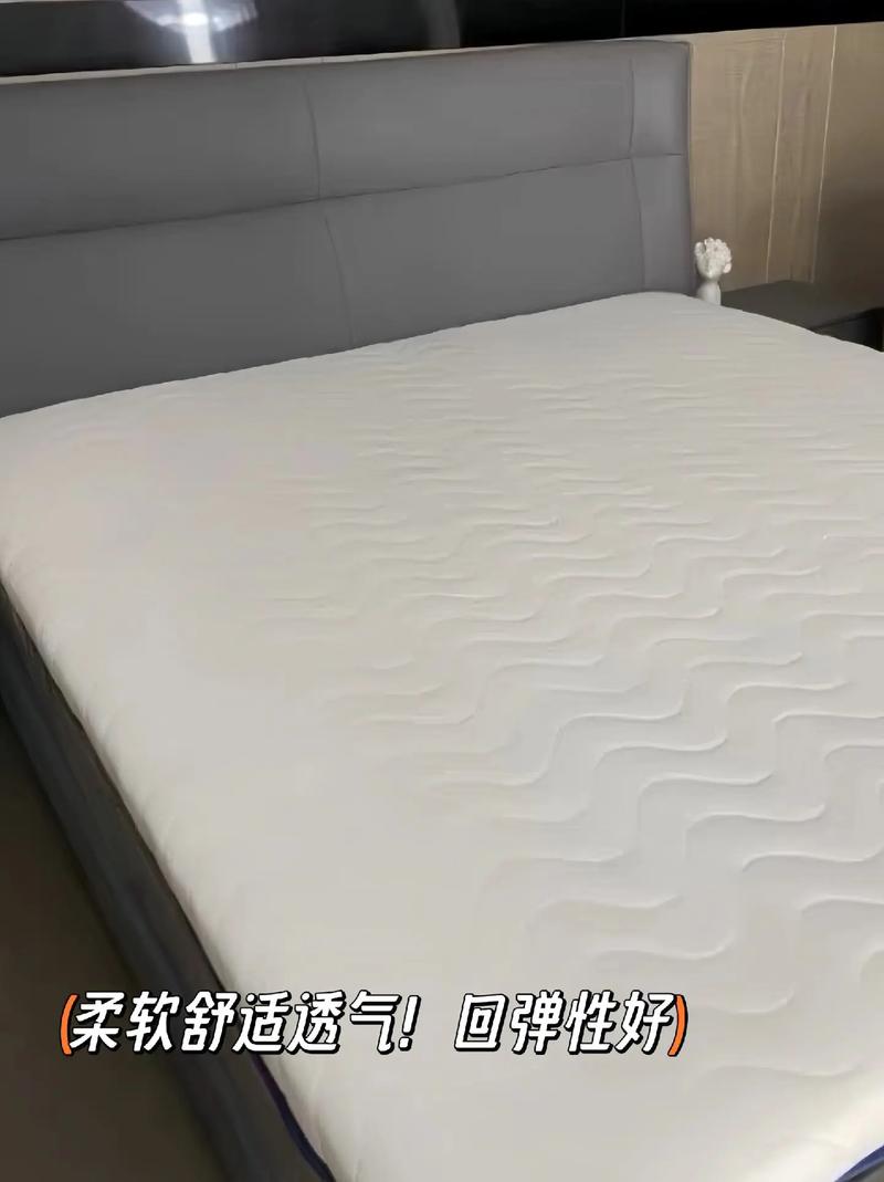 正品乳胶垫价格究竟是多少？-第3张图片-索能光电网