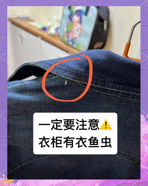 衣柜小虫怎么除？根源在哪？-第3张图片-索能光电网