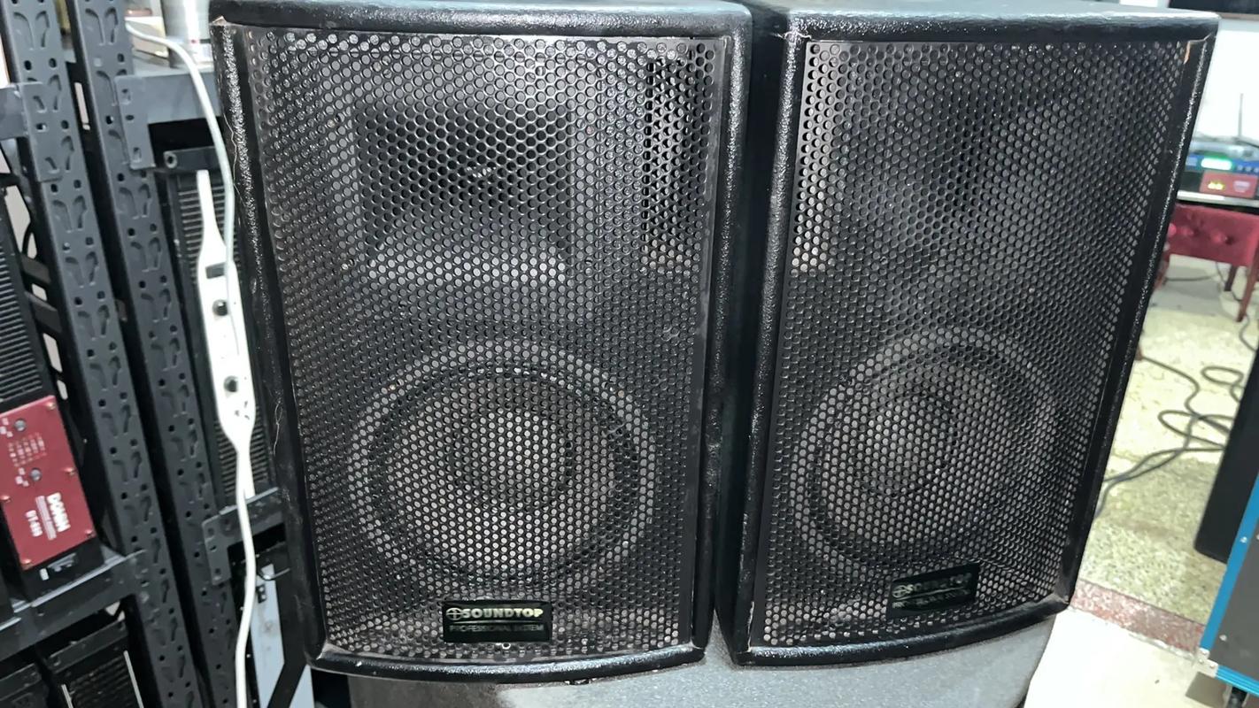 音响和喇叭价格差异大，多少钱才合适？-第3张图片-索能光电网