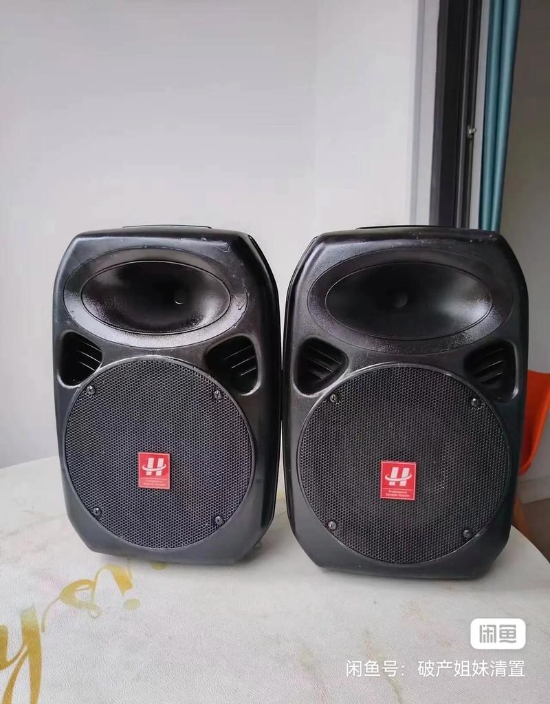 音响和喇叭价格差异大，多少钱才合适？-第2张图片-索能光电网