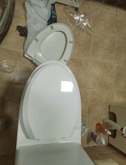 老式马桶盖掉了怎么装？-第2张图片-索能光电网