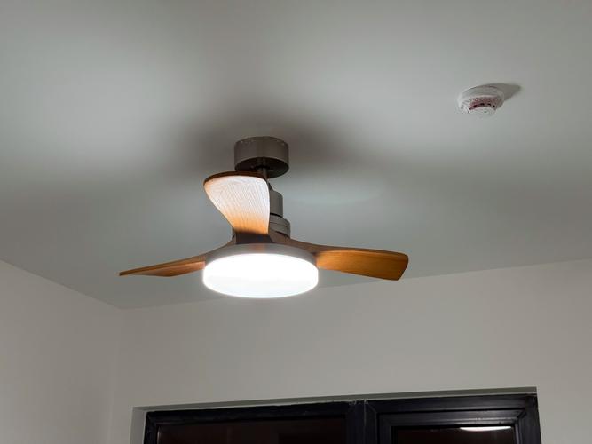 电风扇灯变暗是电路故障还是灯珠老化？-第3张图片-索能光电网