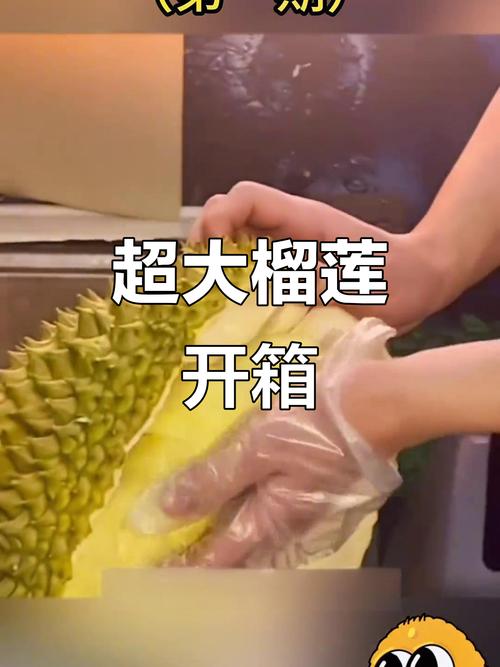 榴莲降至15元一斤-第1张图片-索能光电网